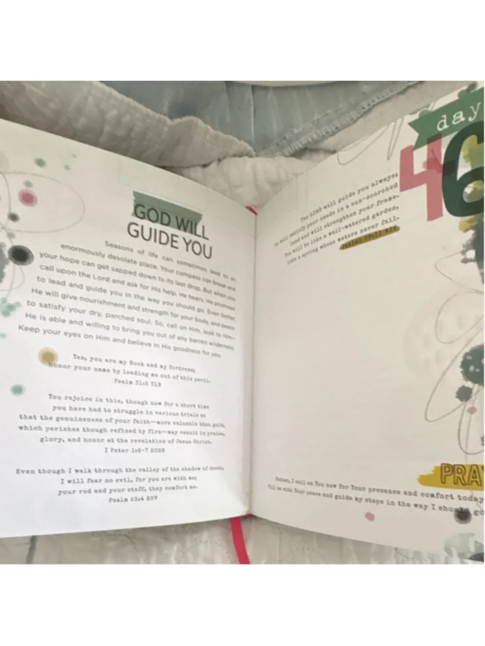 Shanna Noel 100 Days of Bible Promises Devotional Journal Paperback Illus 2018